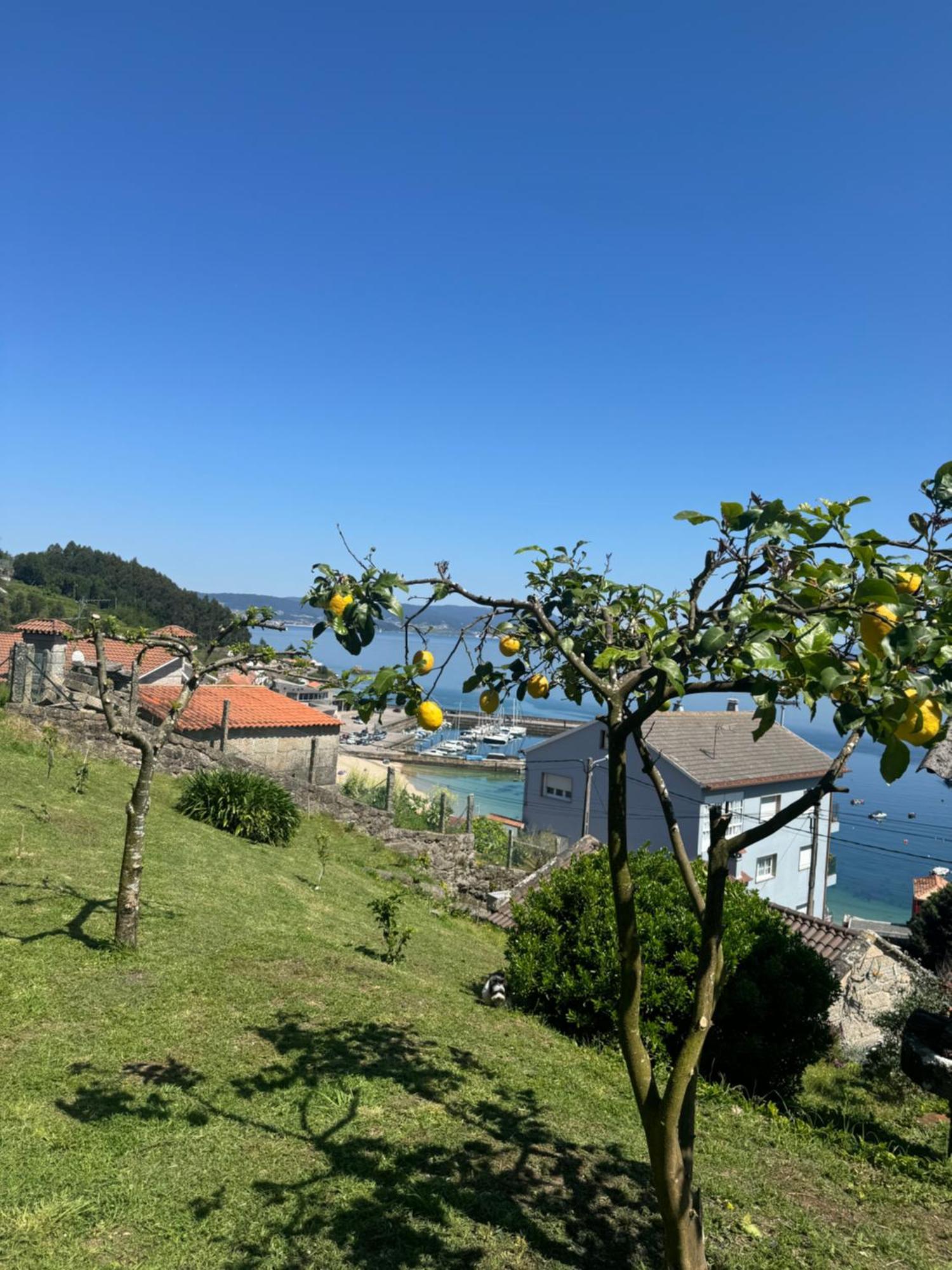 Casa vacanze Marita 1900 *